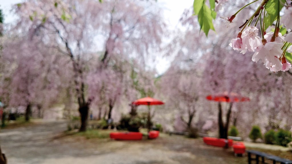 またたび研究所/また旅しよう。 tweet media