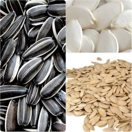 Elie chebli tweet media