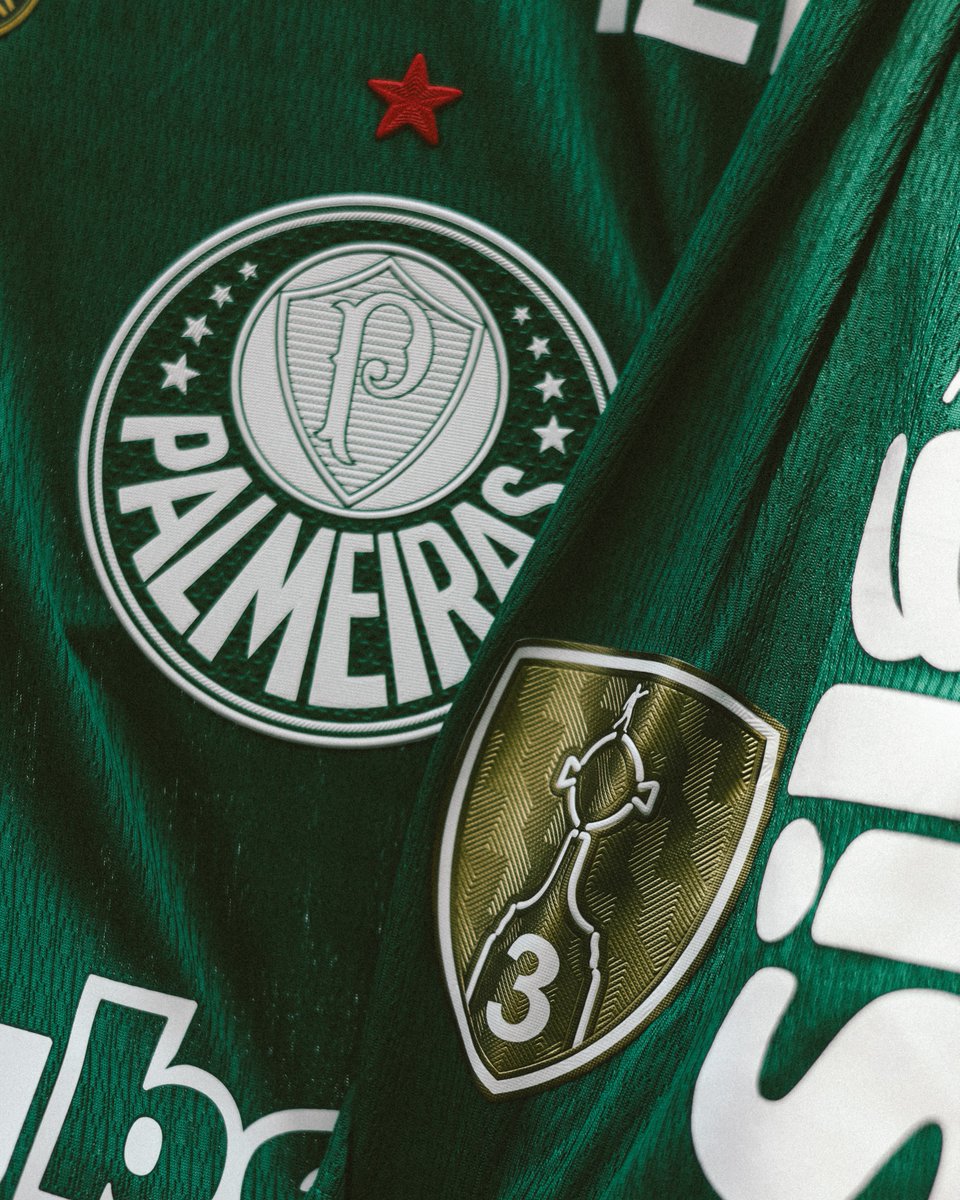 SE Palmeiras tweet media