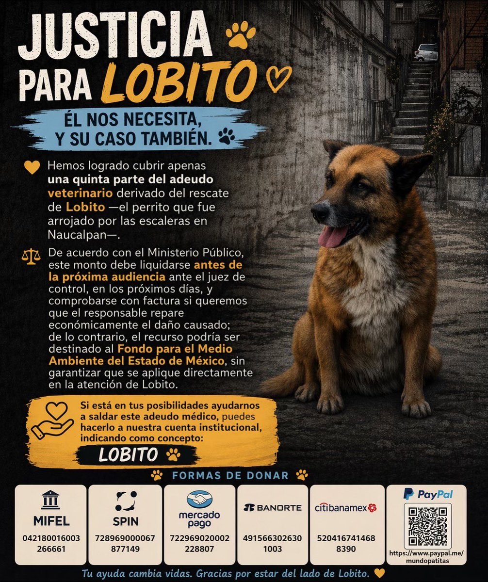 Mundo Patitas AC tweet media