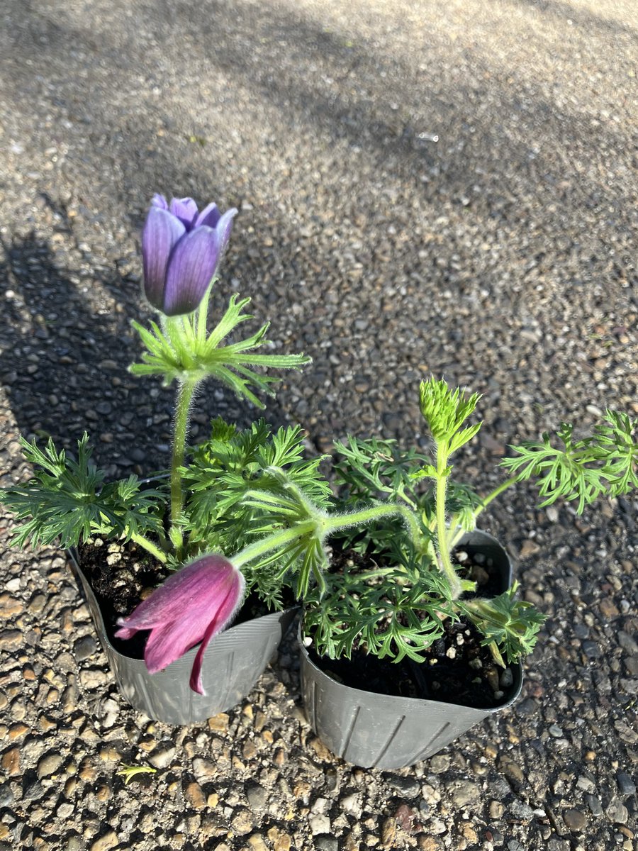 BotKbgkyoryoku tweet media