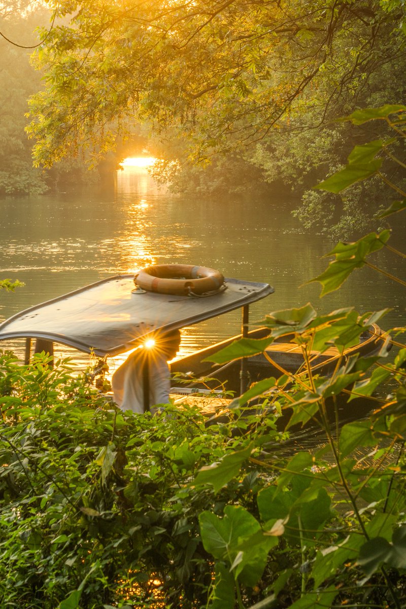 cj murphy tweet media