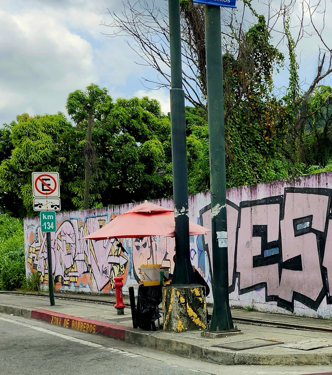 Testigo2020 tweet media