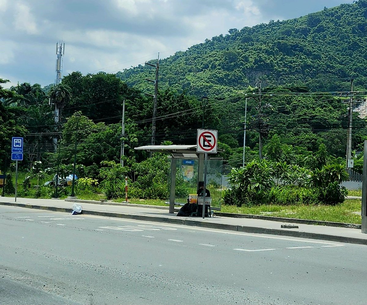 Testigo2020 tweet media