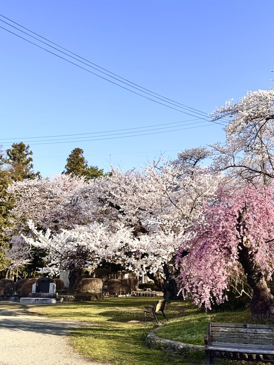 佐々木小次郎 tweet media