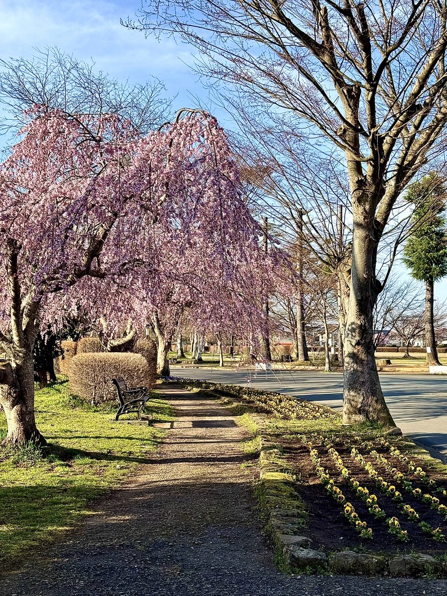 佐々木小次郎 tweet media