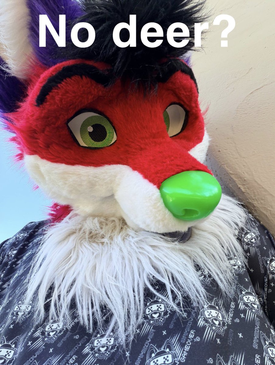 Robin Wood (Somaro) tweet media