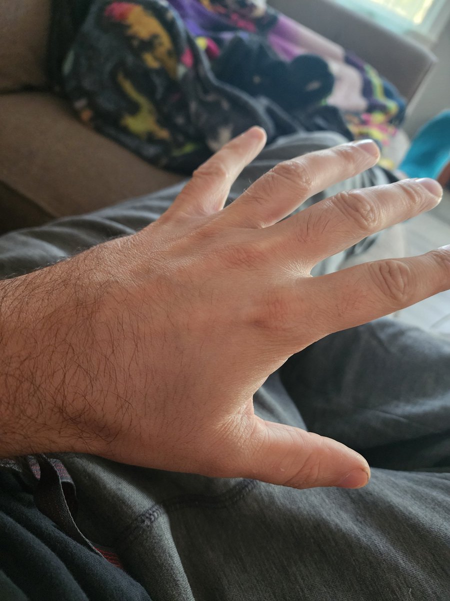 🌻 Zissou 👁️ tweet media