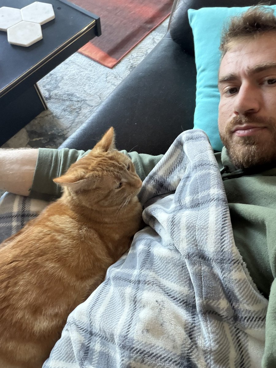 Dumb Hunter | Try Maven tweet media