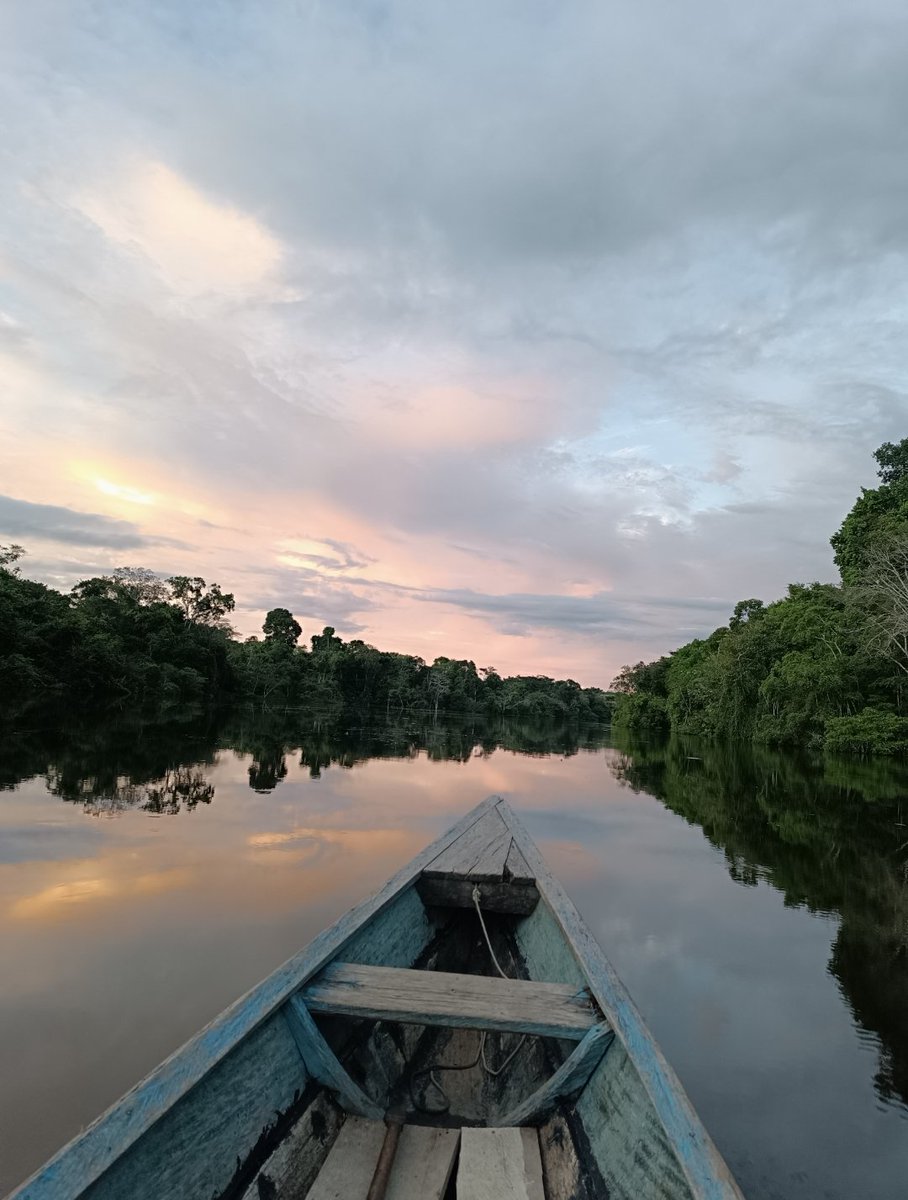 Recorriendo un afluente del rio Amazonas hace una semana. La sensación de estar en medio de la naturaleza y solo oír el sonido de la fauna que existe es hermosa e inquietante.