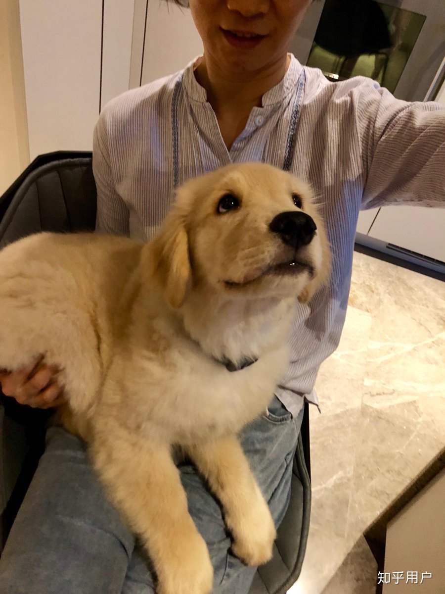 tact matt tweet media