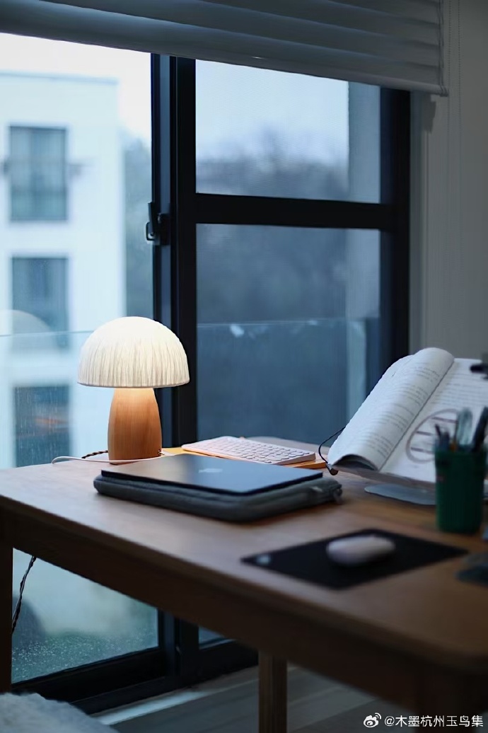 fritcylee tweet media