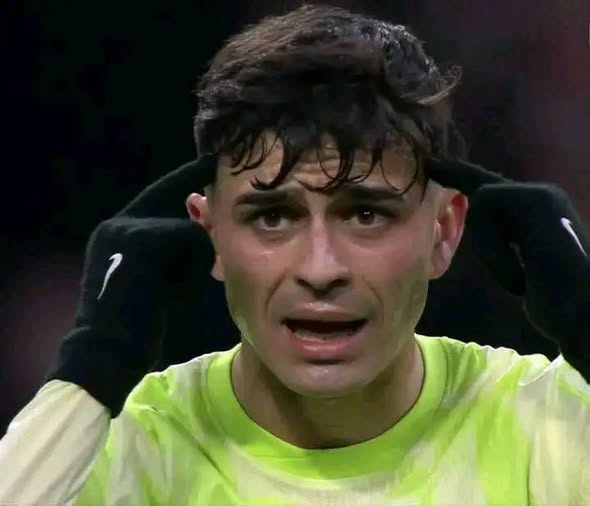 Islam Bouafif 🇹🇳🇵🇸 tweet media