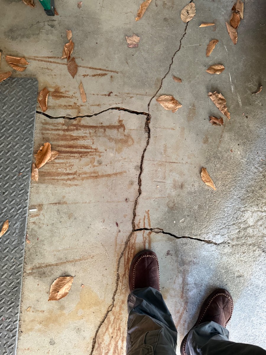 Adam McLain tweet media