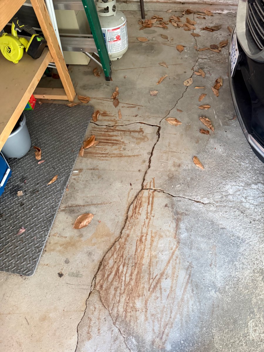 Adam McLain tweet media