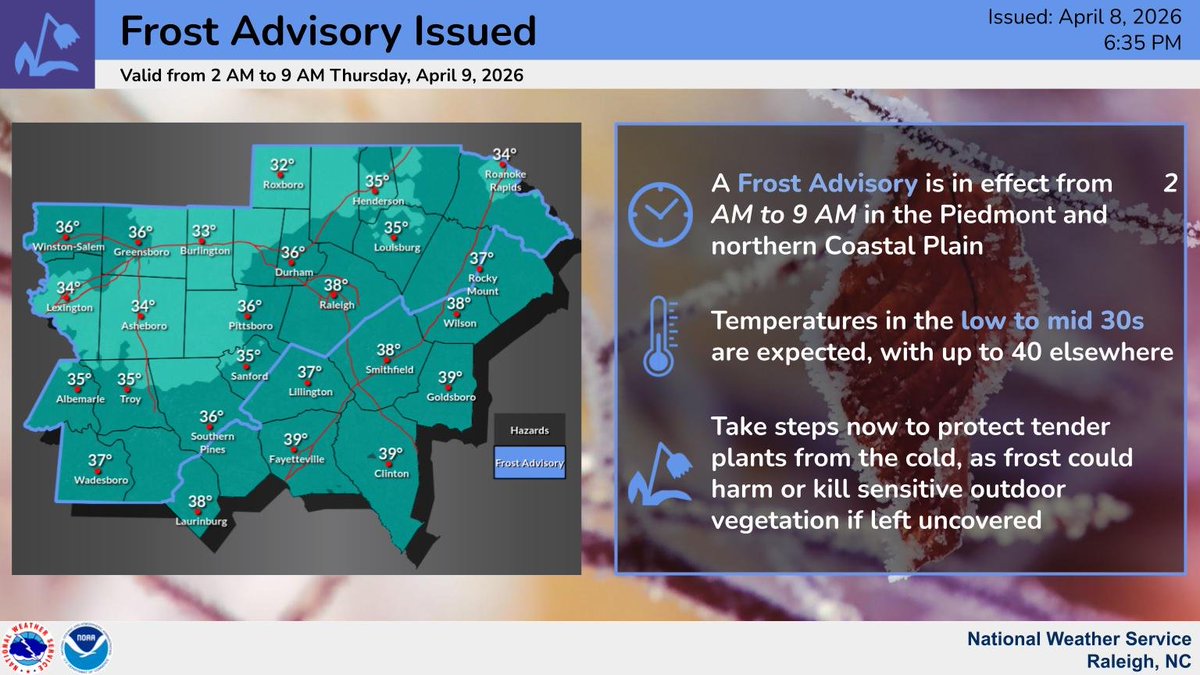 NWSRaleigh's tweet image. ⚠️🥶 A Frost Advisory has been issued for portions of central North Carolina, including the Piedmont and northern Coastal Plain, valid from from 2 AM to 9 AM tonight into tomorrow morning. 
🪴 Take time today to protect your tender plants and bring any potted plants inside. #NCwx