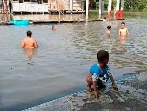 Capy Albures tweet media