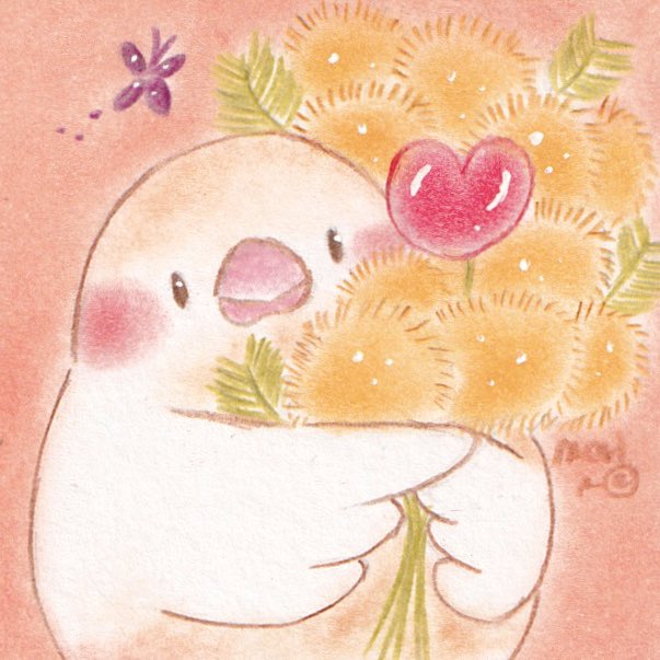 まりものイラスト