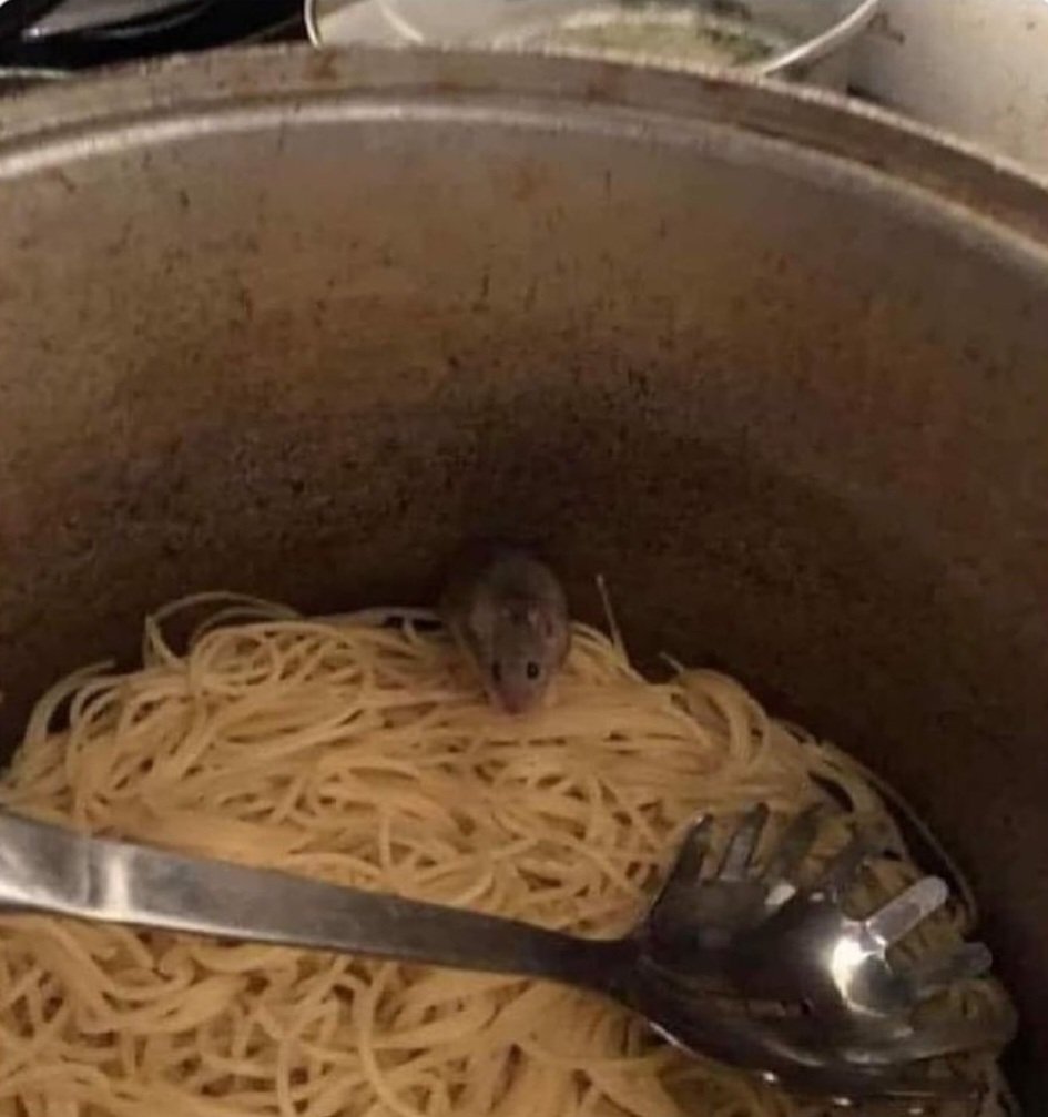 Capy Albures tweet media