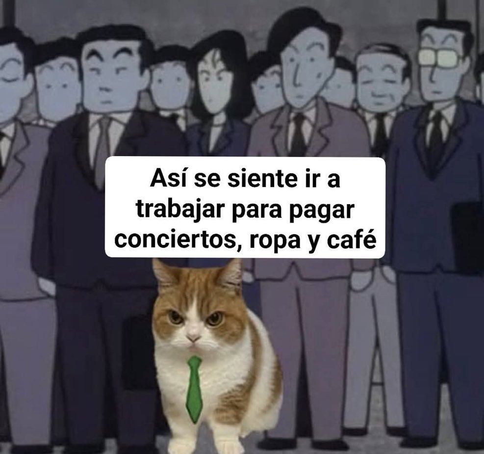 Salvador Iglesias Jr tweet media