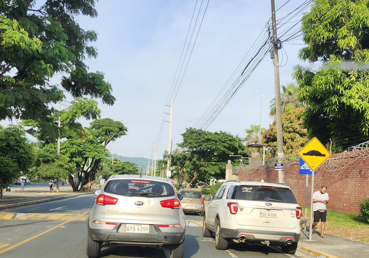 Testigo2020 tweet media