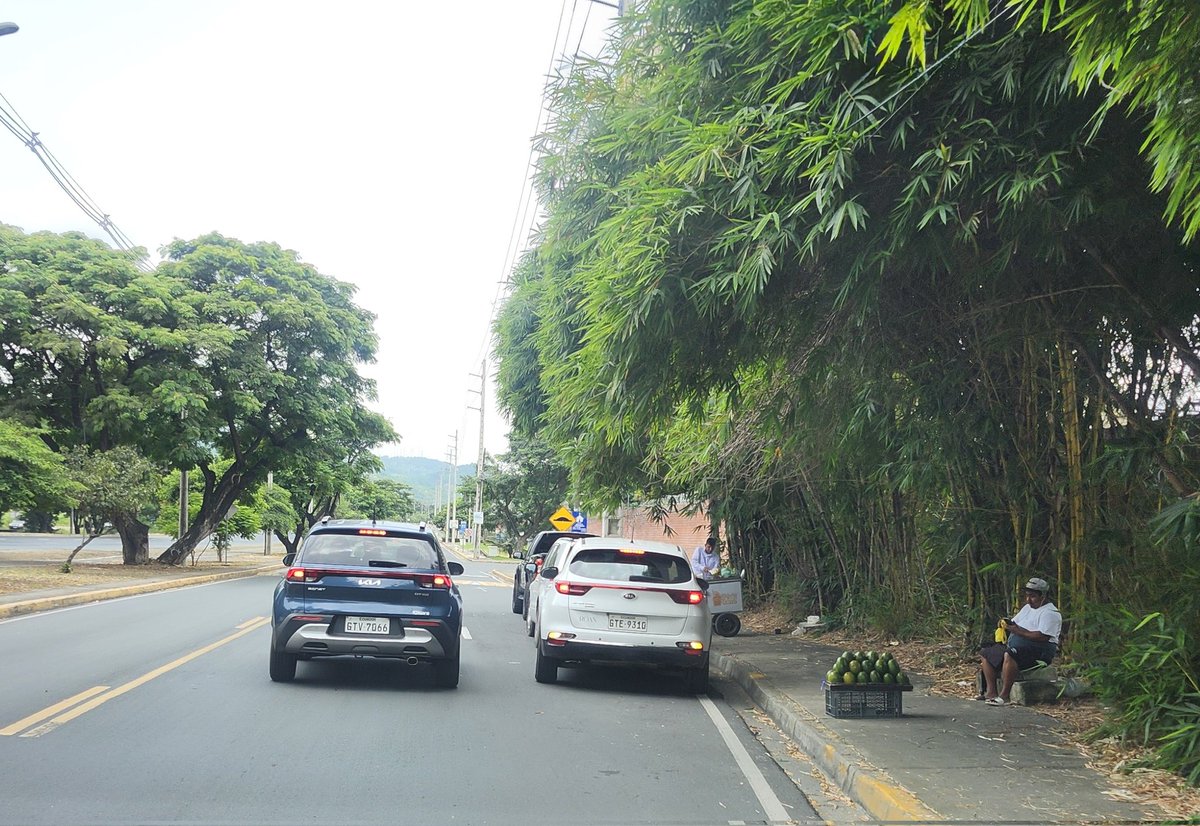 Testigo2020 tweet media