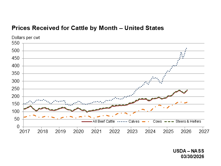 纽约博叔 tweet media