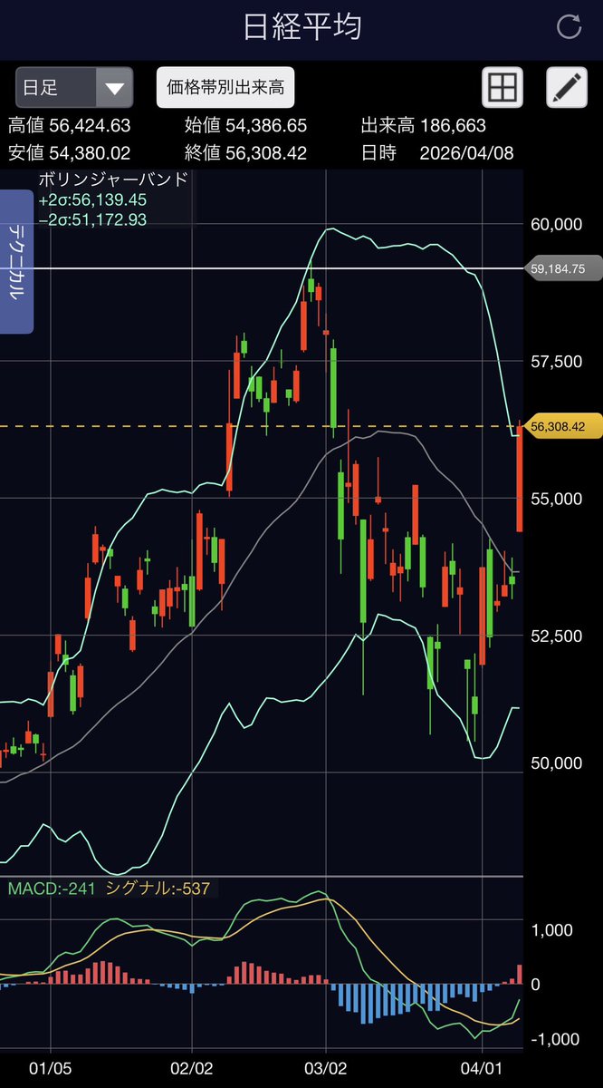 Syun@駆け出し通訳案内士🫡 tweet media
