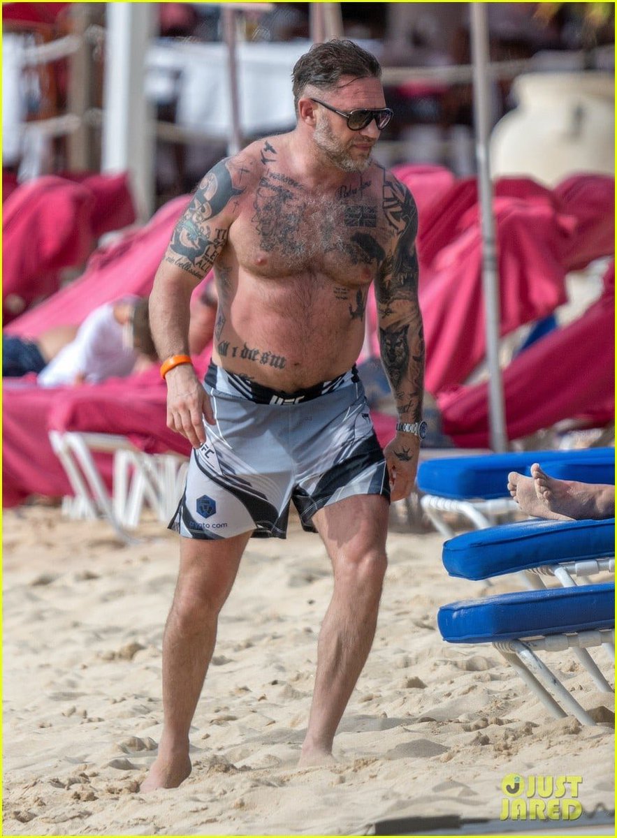 Gray Zone tweet media