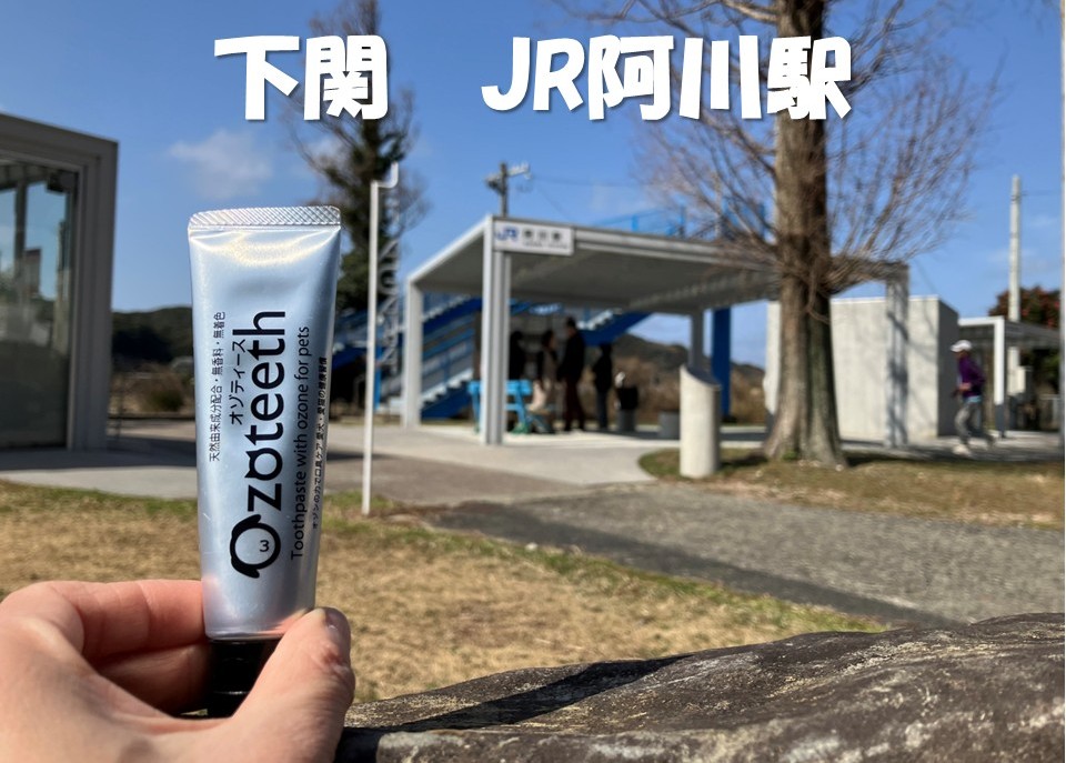 ozofine28's tweet photo. JR阿川駅に来ました。
のどかで、あ～川のように流れる時間が良き良き。

<新発売>
犬猫用　口腔ケアジェル「Ozoteeth：オゾティース」
オゾンの力で気になるお口のニオイをケア

お問合せは、下記ＨPまで。
https://t.co/5tJpLlOSC9

#おやじ��ャグ炸裂
#犬猫用口腔ケア用品
#口臭対策
#ペット用品 https://t.co/jowq1gh0eU