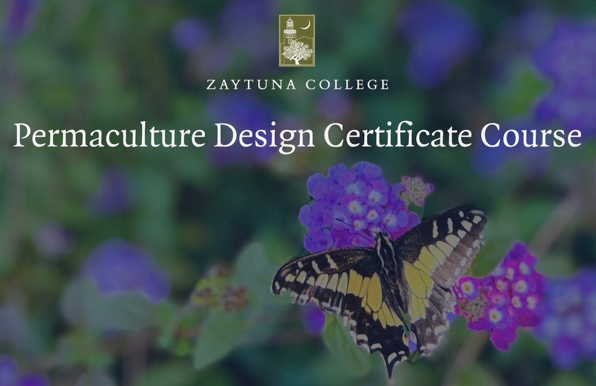 The deadline to apply for our Summer Permaculture Design Course is May 8th, 2026.

Join us for an immersive learning experience rooted in stewardship, sustainability, and sacred responsibility—where knowledge meets practice.

Applications are now open for the Summer 2026 cohort