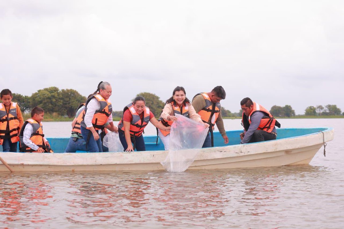 Johnny Magaña Regidor Centro tweet media