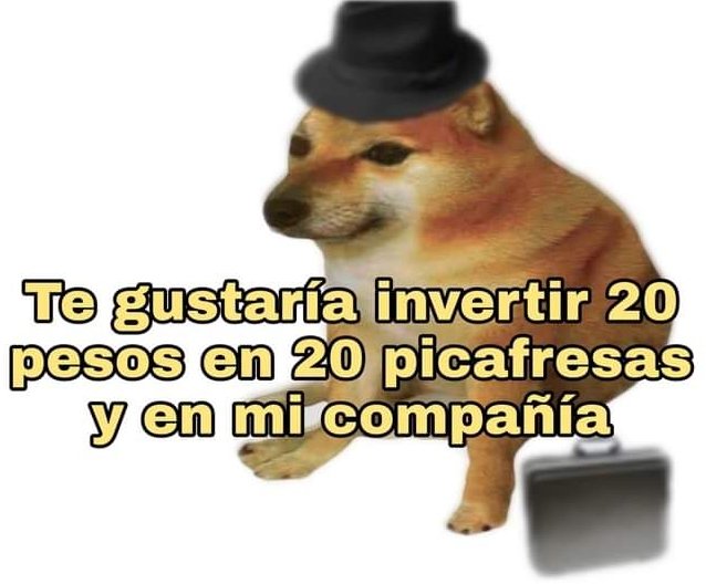 Capy Albures tweet media