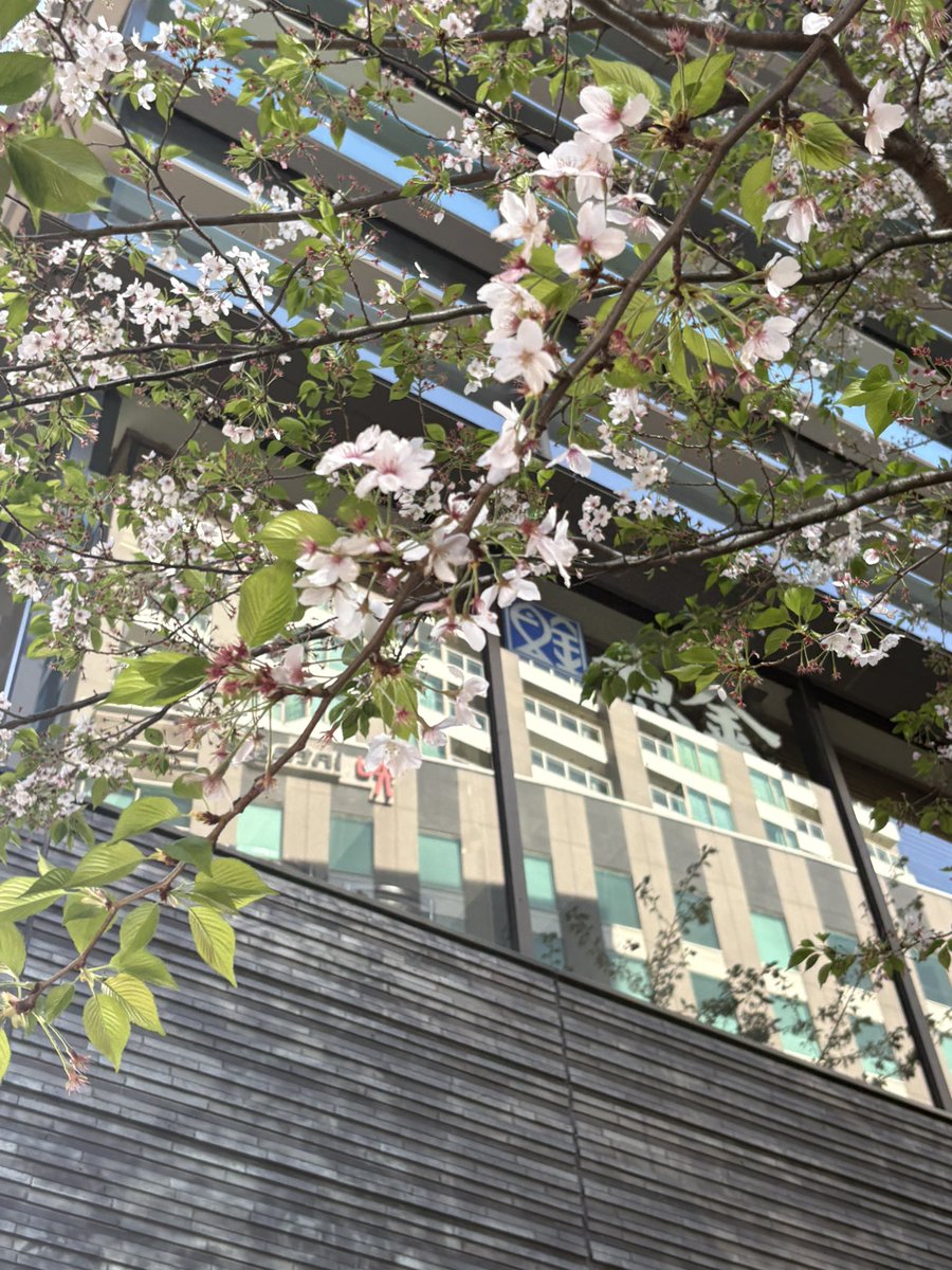 nao🦒🤎 tweet media