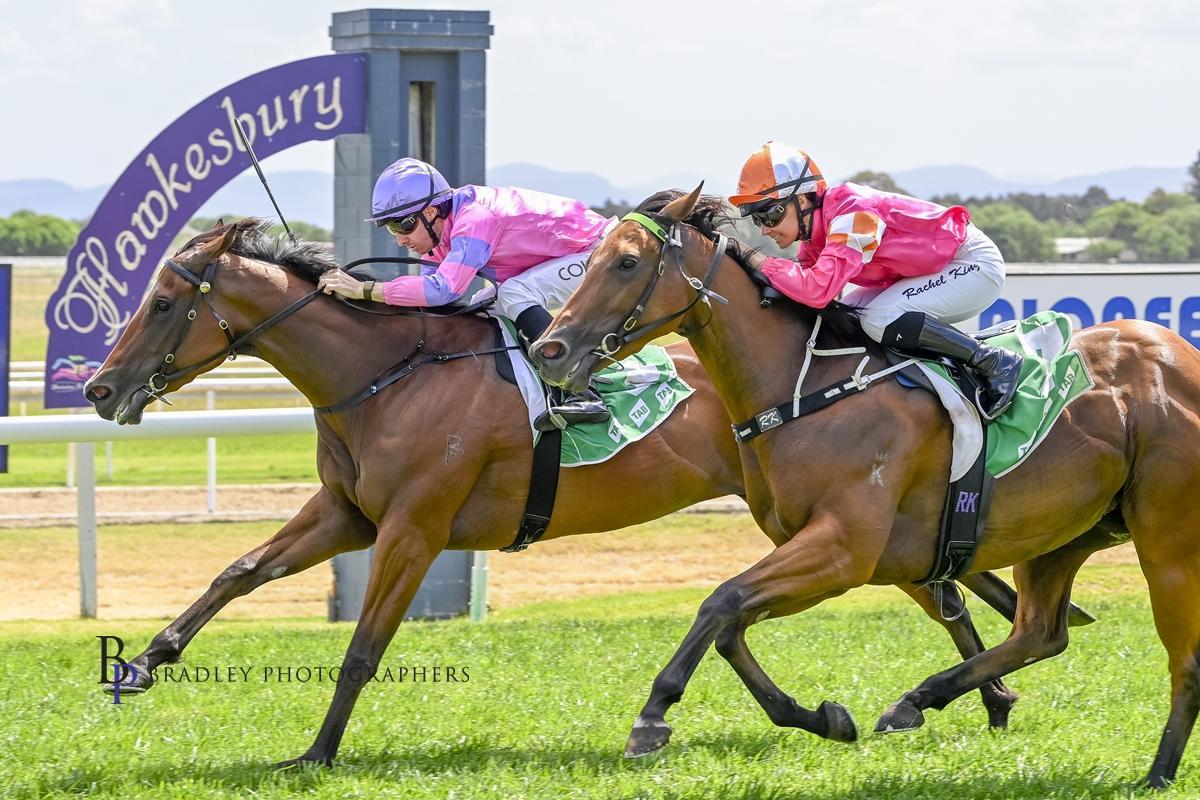 David Pfieffer Racing tweet media