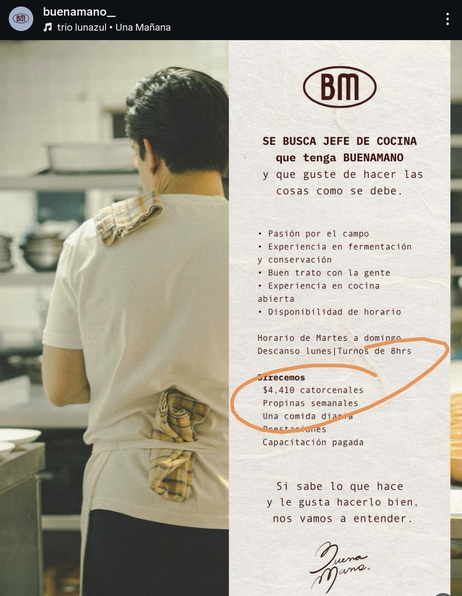 Terror Restaurantes MX 🐦 #YoPorLas40Horas 🔻 tweet media