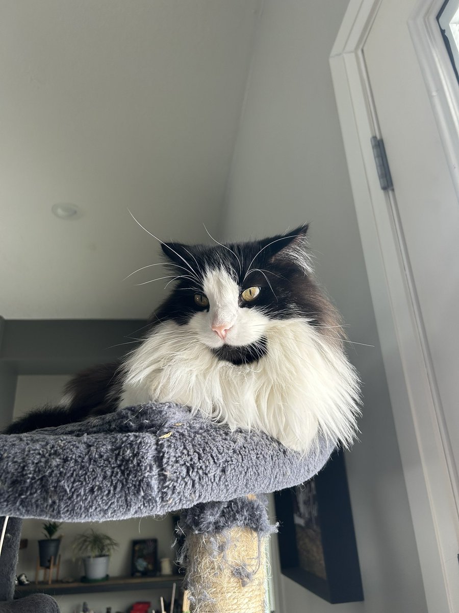 Coralee Prins tweet media