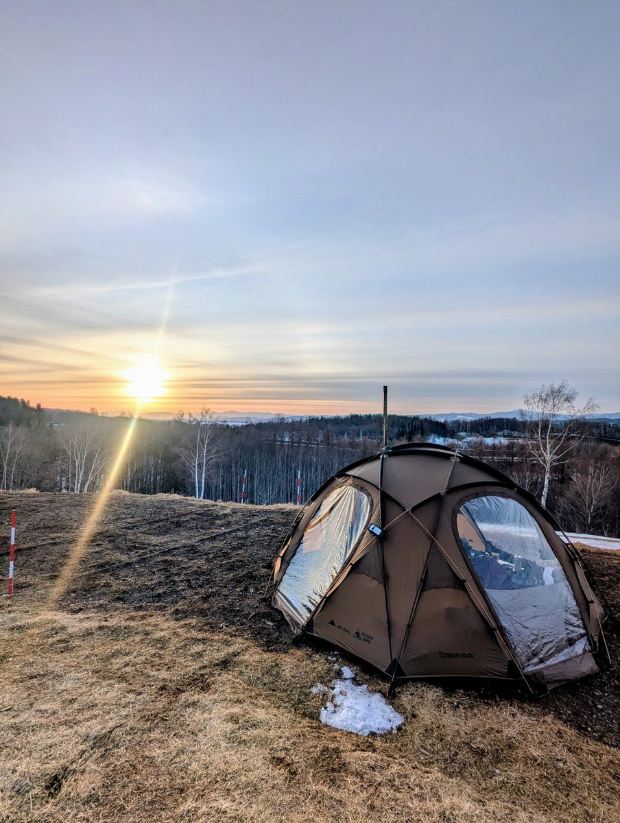 MIKAVICH tweet media