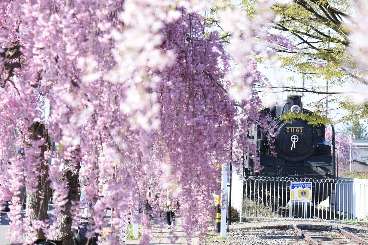 （株）むう企画【公式】 tweet media