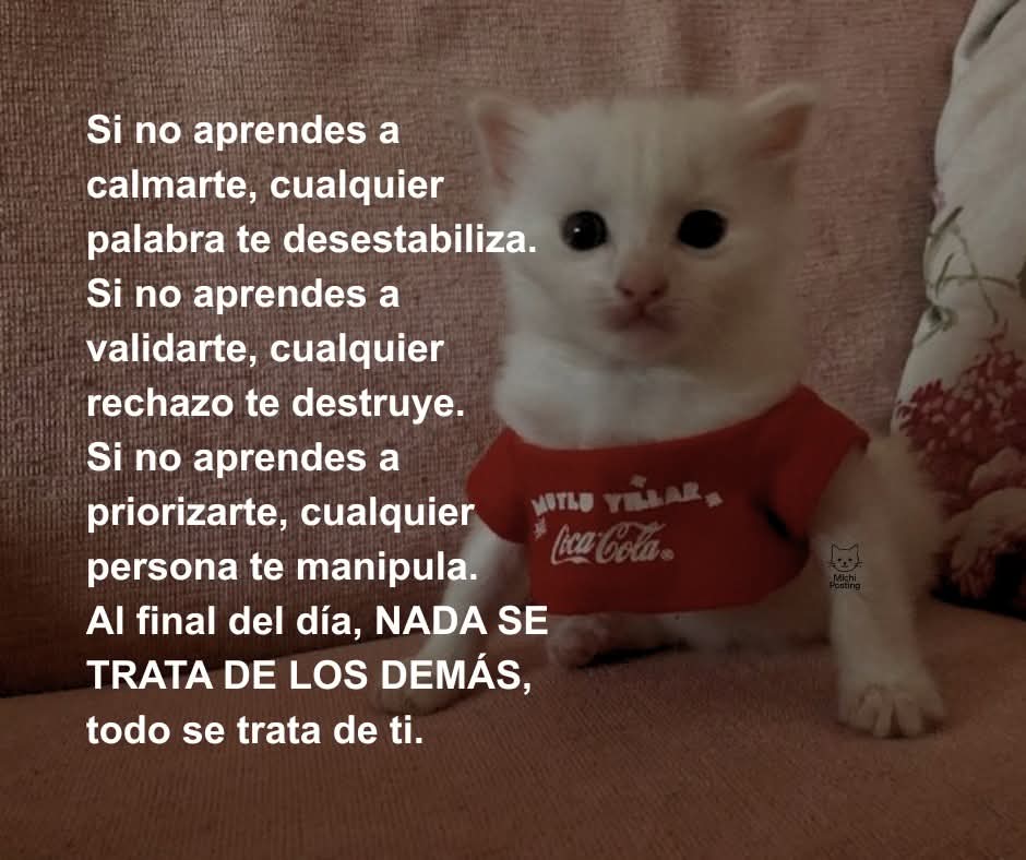 Maestre Mapaxito tweet media