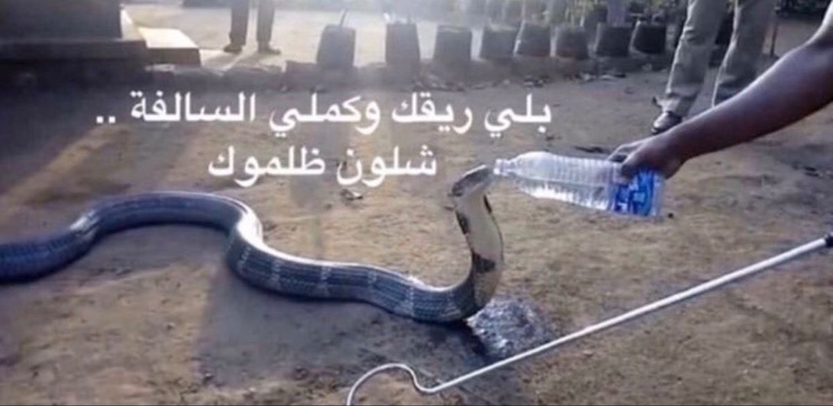 ‏𝑨.🇴🇲 tweet media