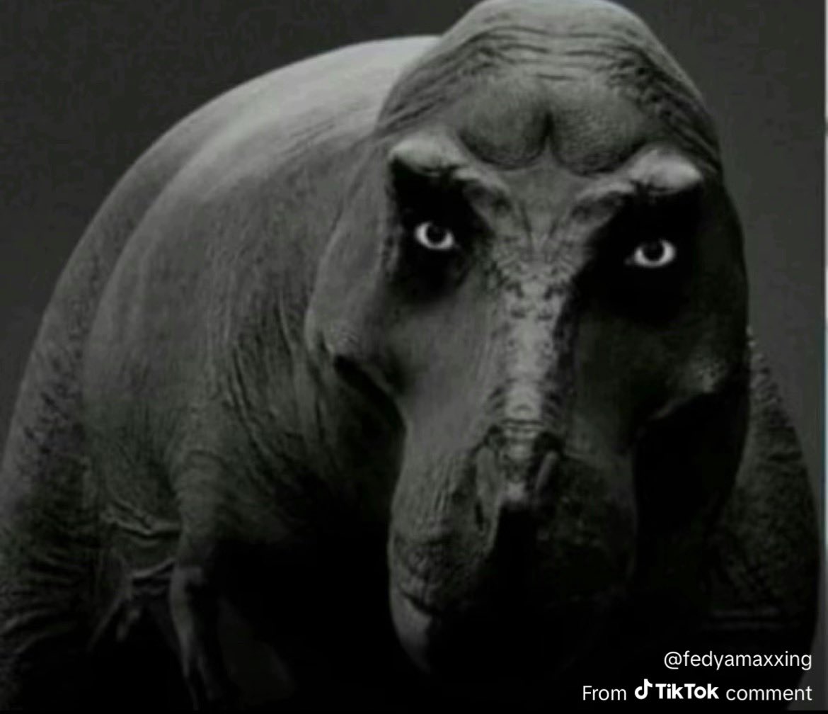 Elliott Benicio tweet media