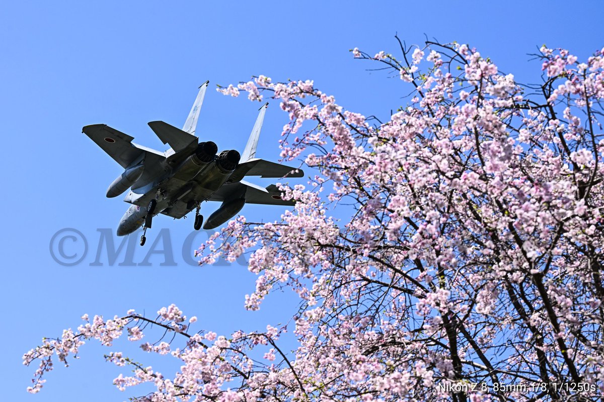 涼月 真姫乃(マキノ) ❲Evo？❳ tweet media