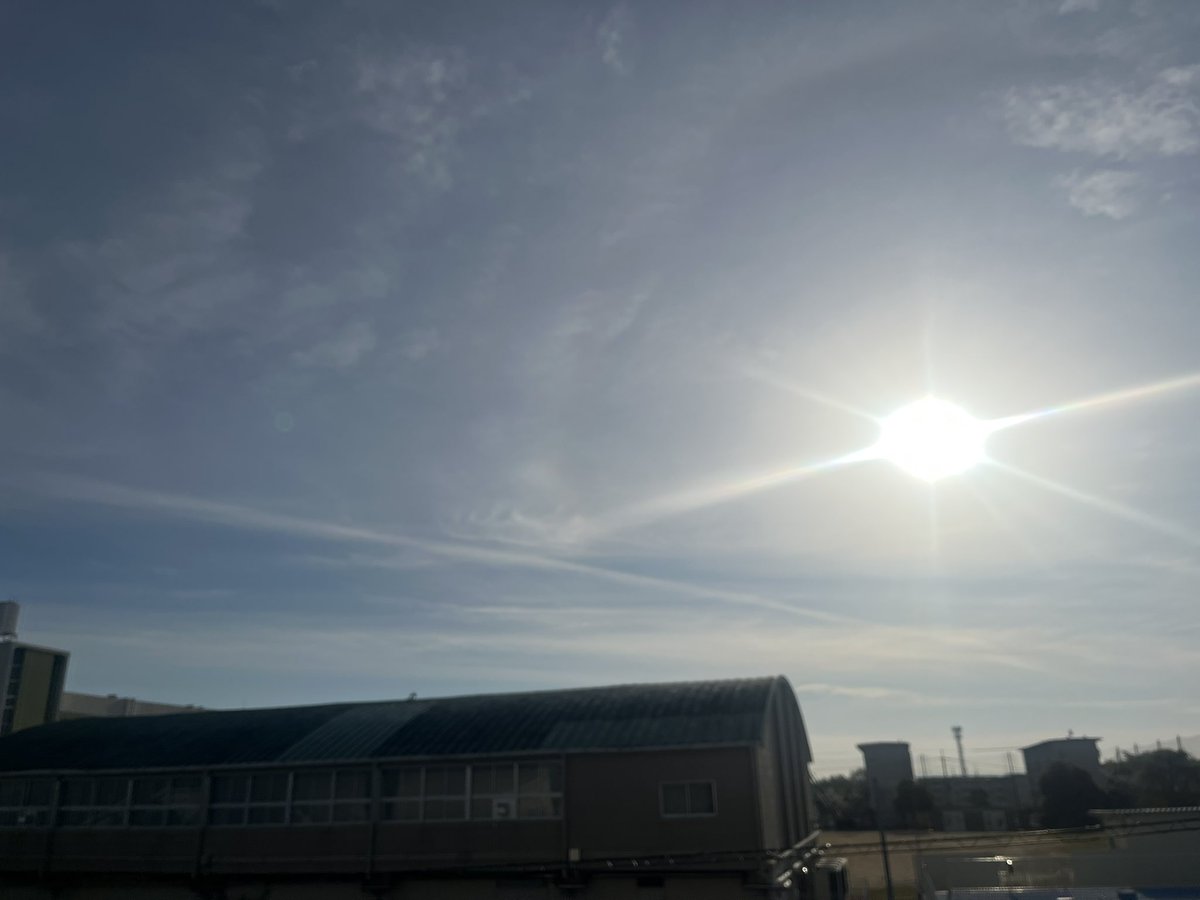 ぐっさん家 tweet media