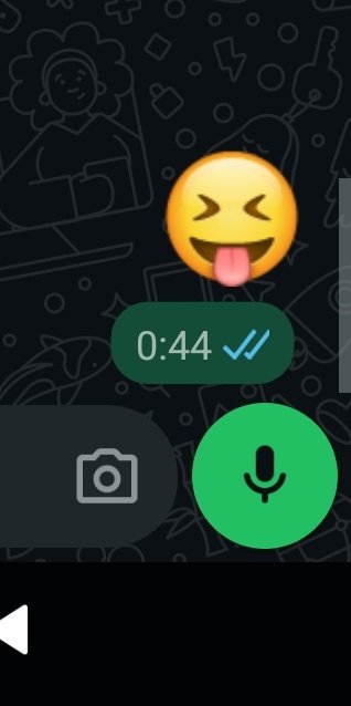 elarca_buzz tweet media