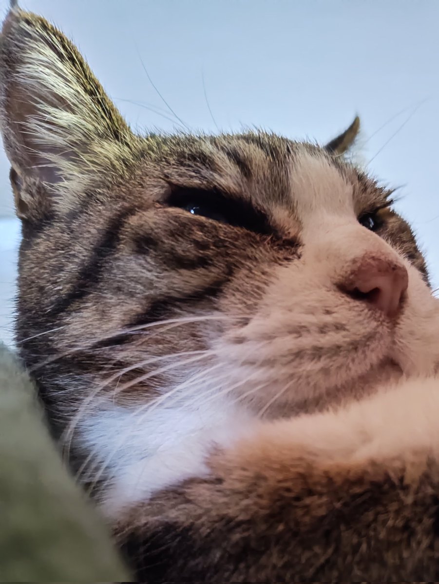 アツアツプンタ tweet media