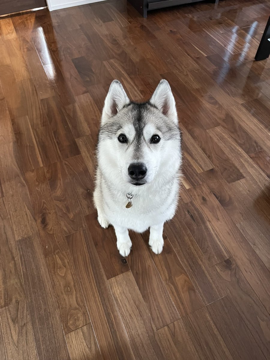 ちんまりしている