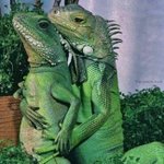 Alprazolane tweet media