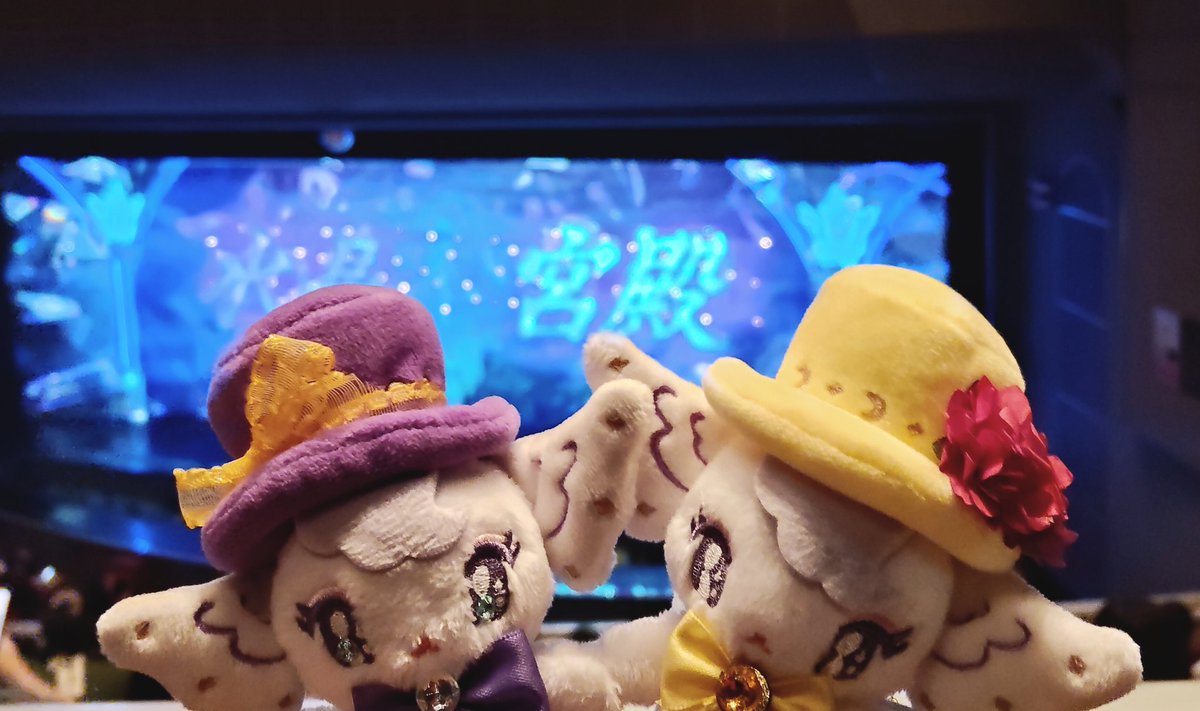 ひとぴ tweet media