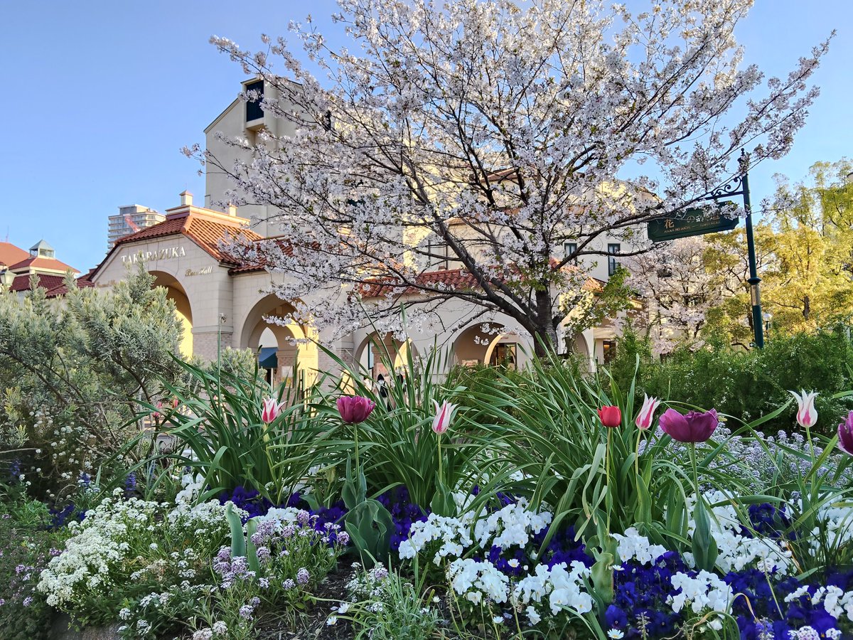 ひとぴ tweet media